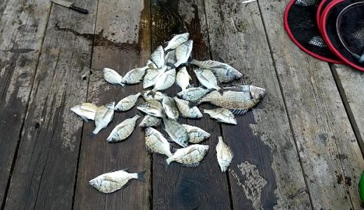 【釣りクラブ】9月19日 賢島